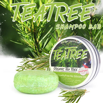 Shampoing en barre de lavage de cheveux fait à la main, extrait d'arbre à thé de Regina, plante verte solide, naturel, H6Q8, 60g