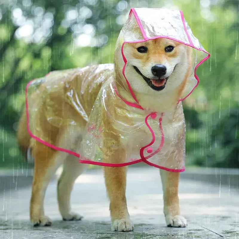 Vêtements de pluie transparents pour chien