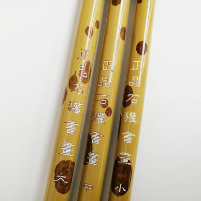 Pinceaux calligraphiques à cheveux durs, ensemble de pinceaux d'écriture chinoise, stylo pinceau spécialisé Pier Cursive Stone Danemark ger, L, M, S, 3 pièces
