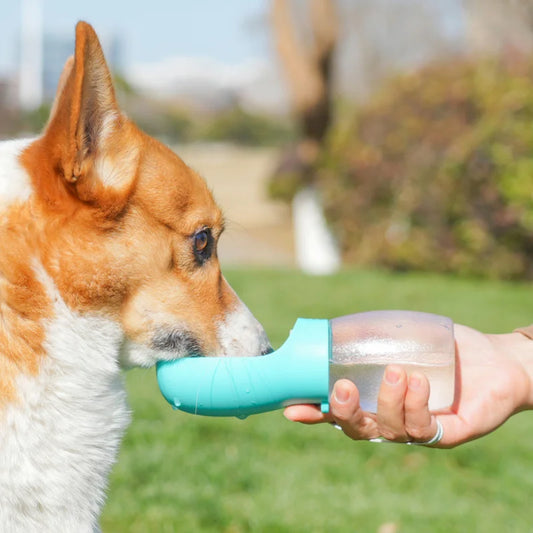 Bouteille d'eau de voyage portable pour animaux de compagnie, adaptée à un usage extérieur, idéale pour les chiens, les chats et spécialement pour l'alimentation des animaux de compagnie de races en peluche