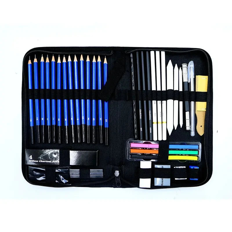 Bview Art Pro Art Kit 49 pièces-ensemble de fournitures de croquis avec crayons graphite/charbon de bois, bloc de croquis et outils pour artistes adultes