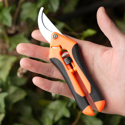 Mini ciseaux de jardinage pour l'élagage, l'élagage des fruits, l'élagage, la cueillette des raisins et les outils de jardinage