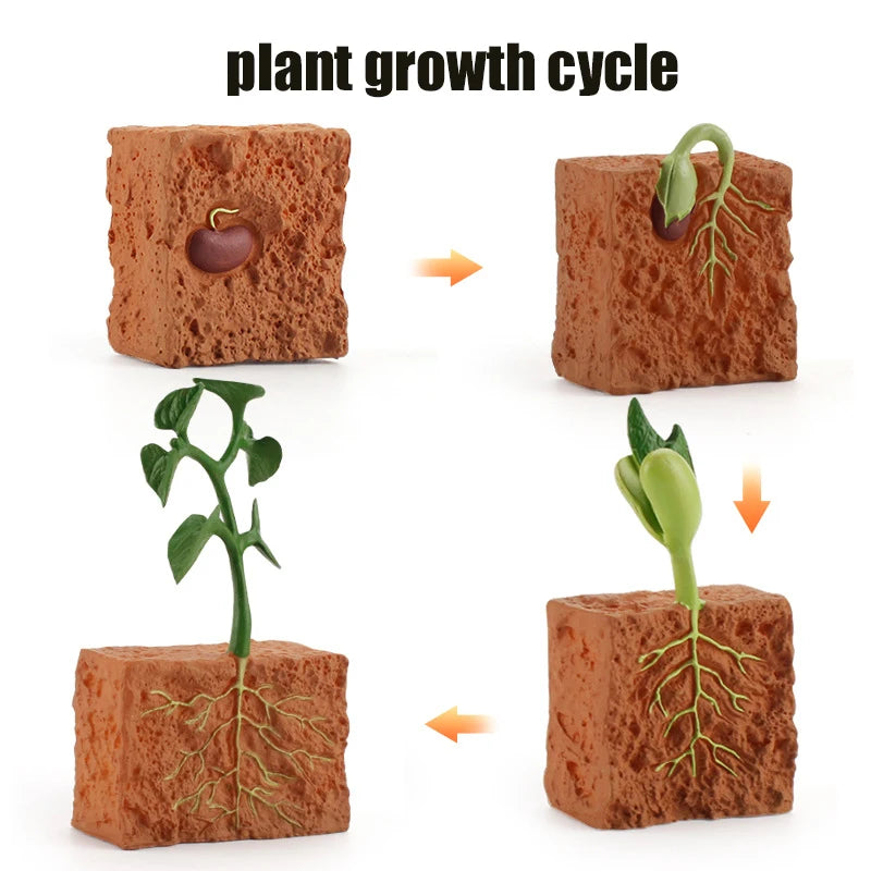 Planche de Cycle de vie des animaux, jouets pour enfants, outils pédagogiques Montessori, ensemble de modèles de Cycle de croissance des animaux, jouets cognitifs préscolaires