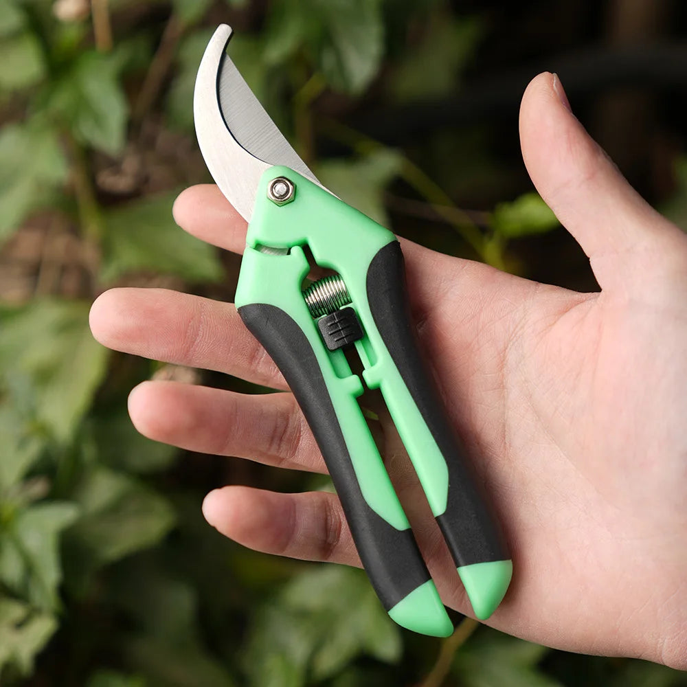 Mini ciseaux de jardinage pour l'élagage, l'élagage des fruits, l'élagage, la cueillette des raisins et les outils de jardinage