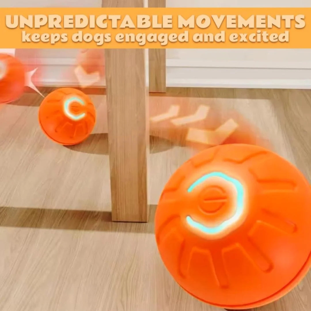 Jouets pour chiens et chats boule électrique par gravité,