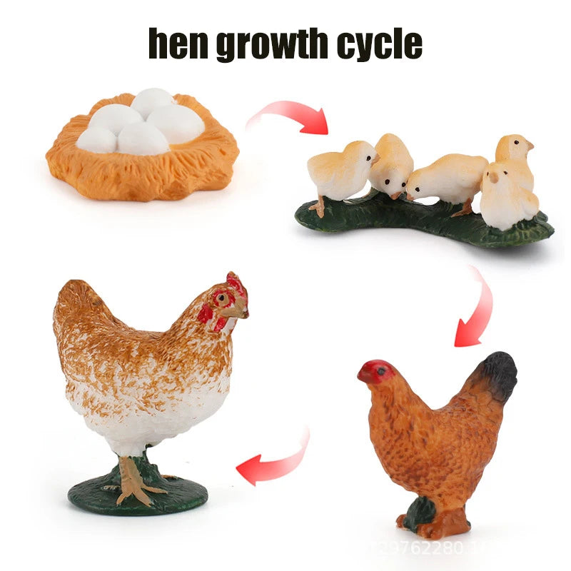 Planche de Cycle de vie des animaux, jouets pour enfants, outils pédagogiques Montessori, ensemble de modèles de Cycle de croissance des animaux, jouets cognitifs préscolaires