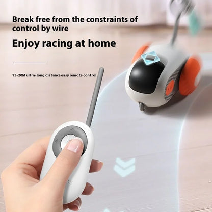 Drôle Animaux Intelligent télécommandé pour chat