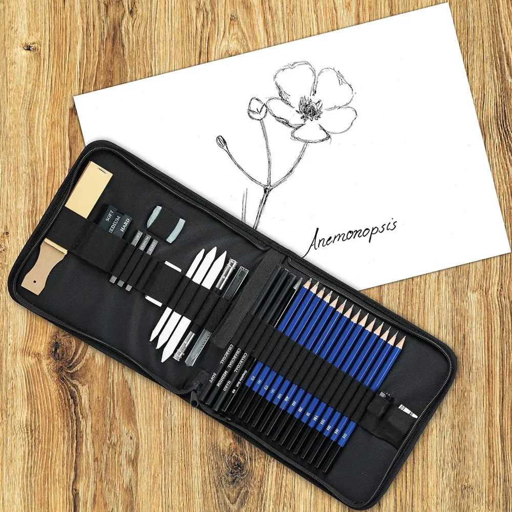 Ensemble de crayons de croquis professionnels 35 pièces avec bâtons de carbone et un sac de rangement portable noir, adapté aux débutants en peindre.