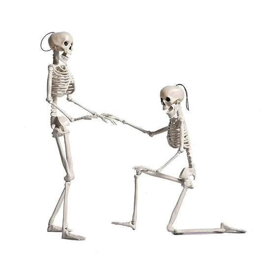 Squelette d'Halloween – Squelette flexible pliable pour tout le corps avec détails réalistes pour une décoration effrayante