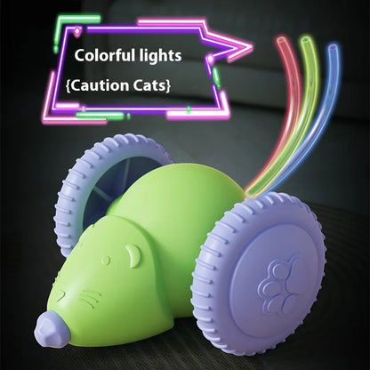 Souris électrique voiture jouets pour chat
