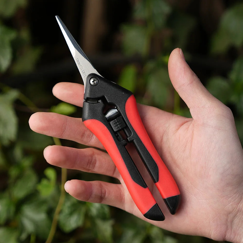 Mini ciseaux de jardinage pour l'élagage, l'élagage des fruits, l'élagage, la cueillette des raisins et les outils de jardinage