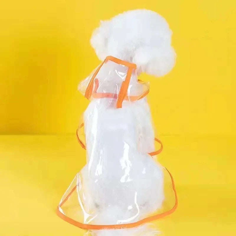 Vêtements de pluie transparents pour chien