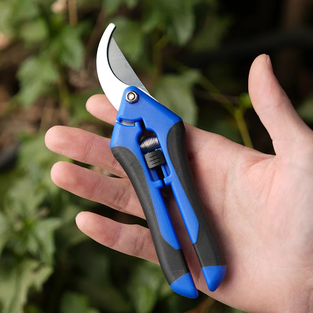 Mini ciseaux de jardinage pour l'élagage, l'élagage des fruits, l'élagage, la cueillette des raisins et les outils de jardinage