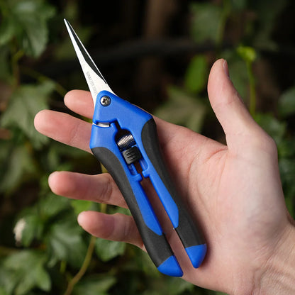 Mini ciseaux de jardinage pour l'élagage, l'élagage des fruits, l'élagage, la cueillette des raisins et les outils de jardinage