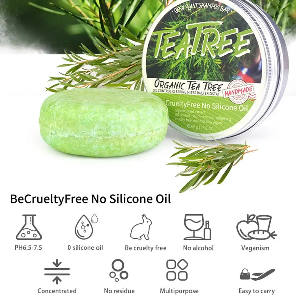 Shampoing en barre de lavage de cheveux fait à la main, extrait d'arbre à thé de Regina, plante verte solide, naturel, H6Q8, 60g
