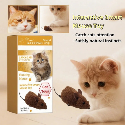 eelhoe - Jouet de souris interactif pour chat
