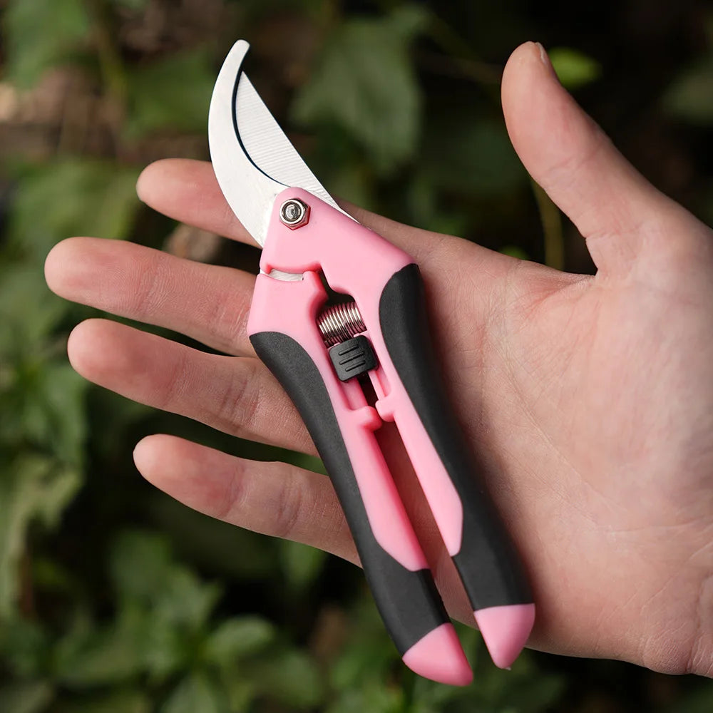 Mini ciseaux de jardinage pour l'élagage, l'élagage des fruits, l'élagage, la cueillette des raisins et les outils de jardinage