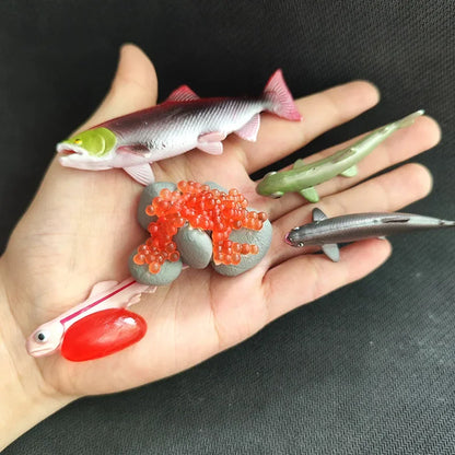 Modèle de biologie de Simulation pour enfants, jouet, Cycle de croissance de la vie des plantes d'animaux, ensemble de jouets Montessori pour enfants, outils pédagogiques, jouets éducatifs