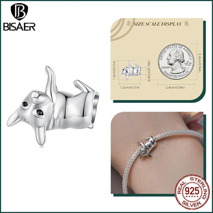 BISAER 925 en argent Sterling mignon chien breloque perle teckel animal de compagnie pendentif platine plaqué ajustement femmes Bracelet à bricoler soi-même bijoux fins