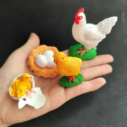 Modèle de biologie de Simulation pour enfants, jouet, Cycle de croissance de la vie des plantes d'animaux, ensemble de jouets Montessori pour enfants, outils pédagogiques, jouets éducatifs